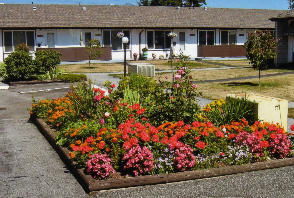 Our beautiful gardens!